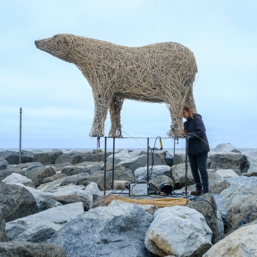 Staithes Polar Bear Willow Sculpture