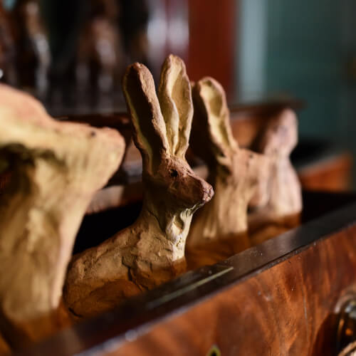 Hares on display