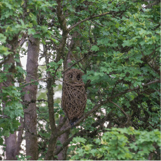 Owl Willow Sculpture