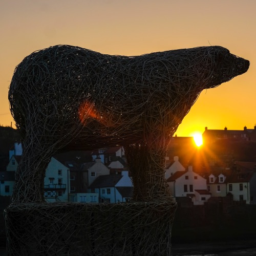 Staithes Polar Bear Willow Sculpture